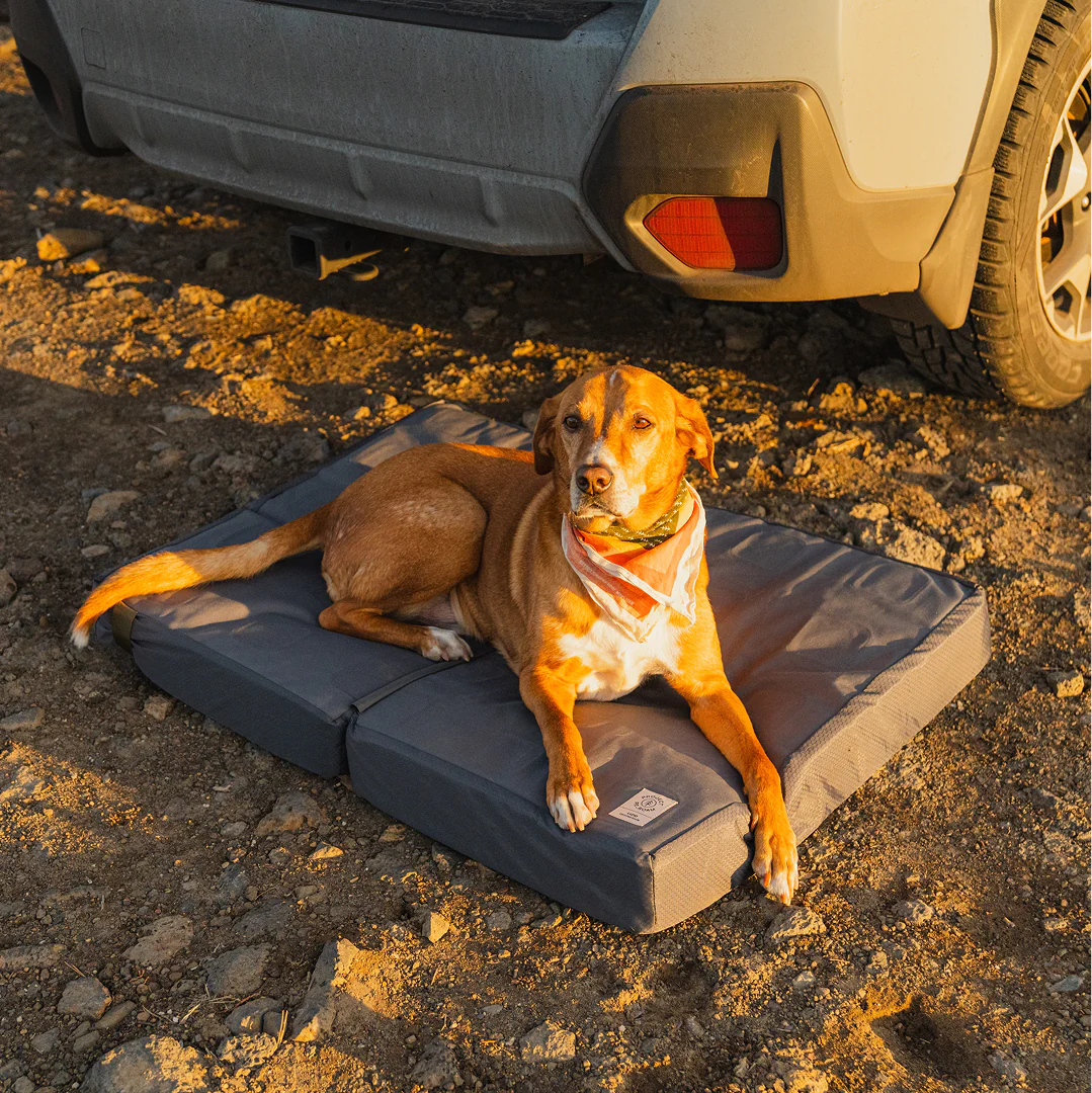 Pet Bed - Image 10