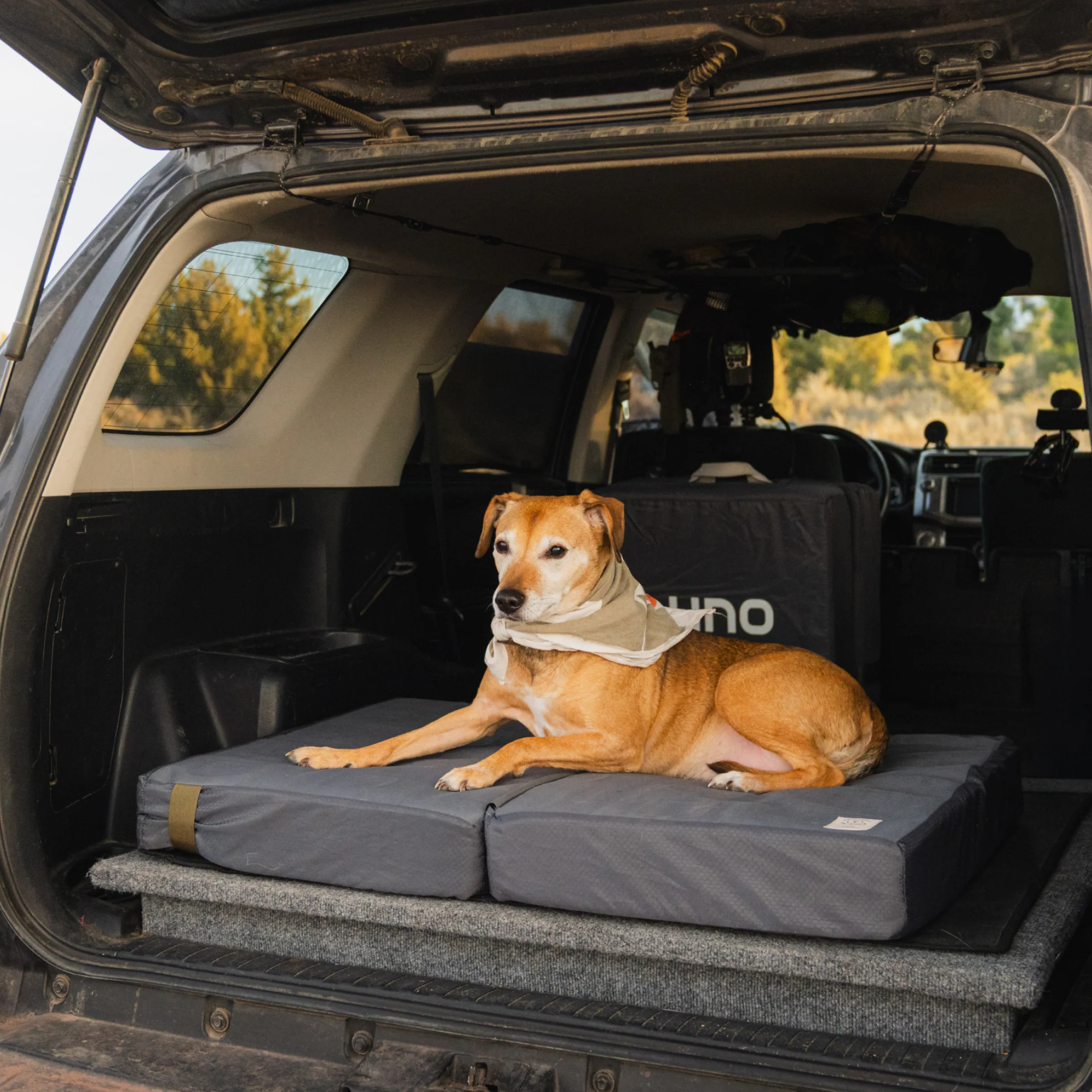 Pet Bed - Image 5