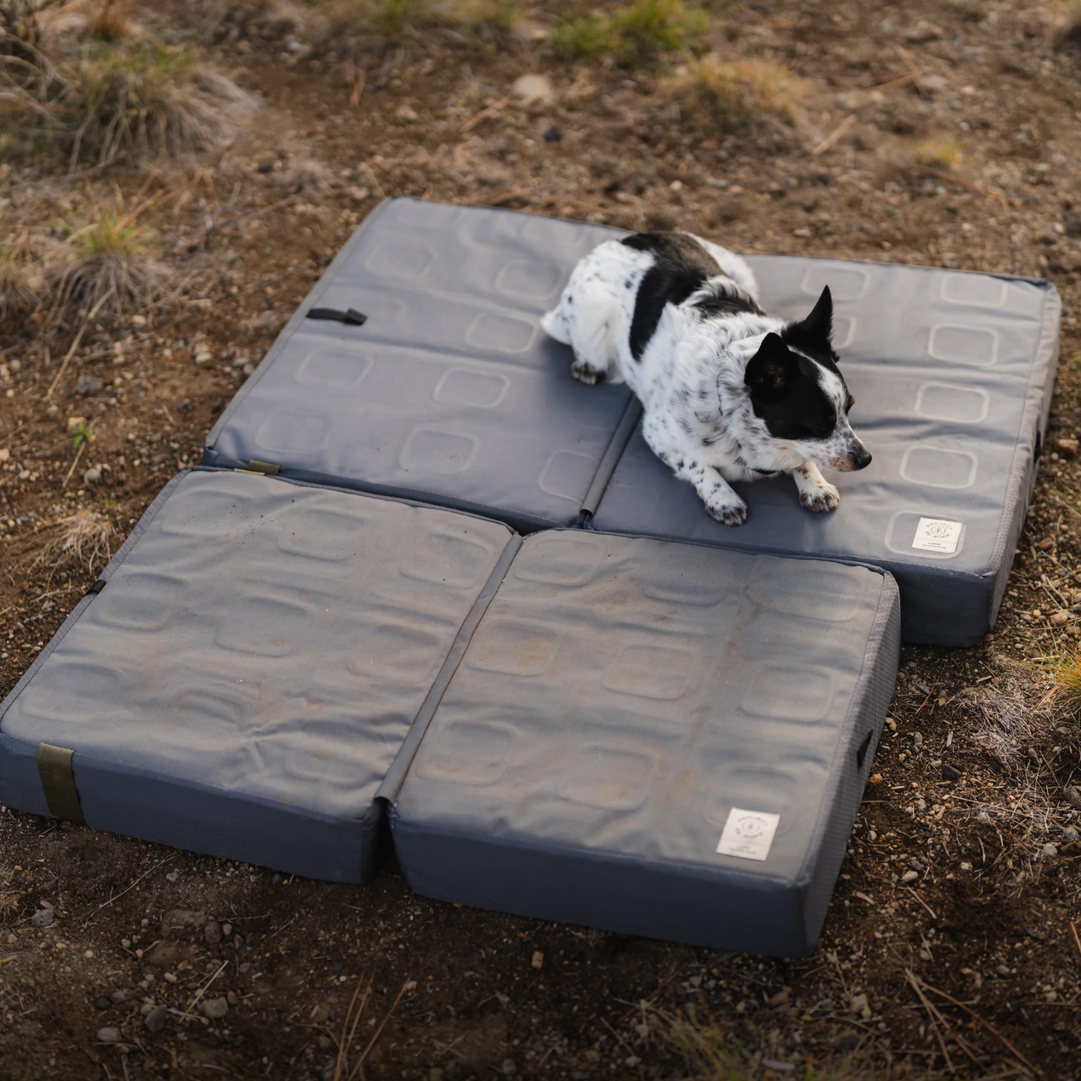Pet Bed - Image 7