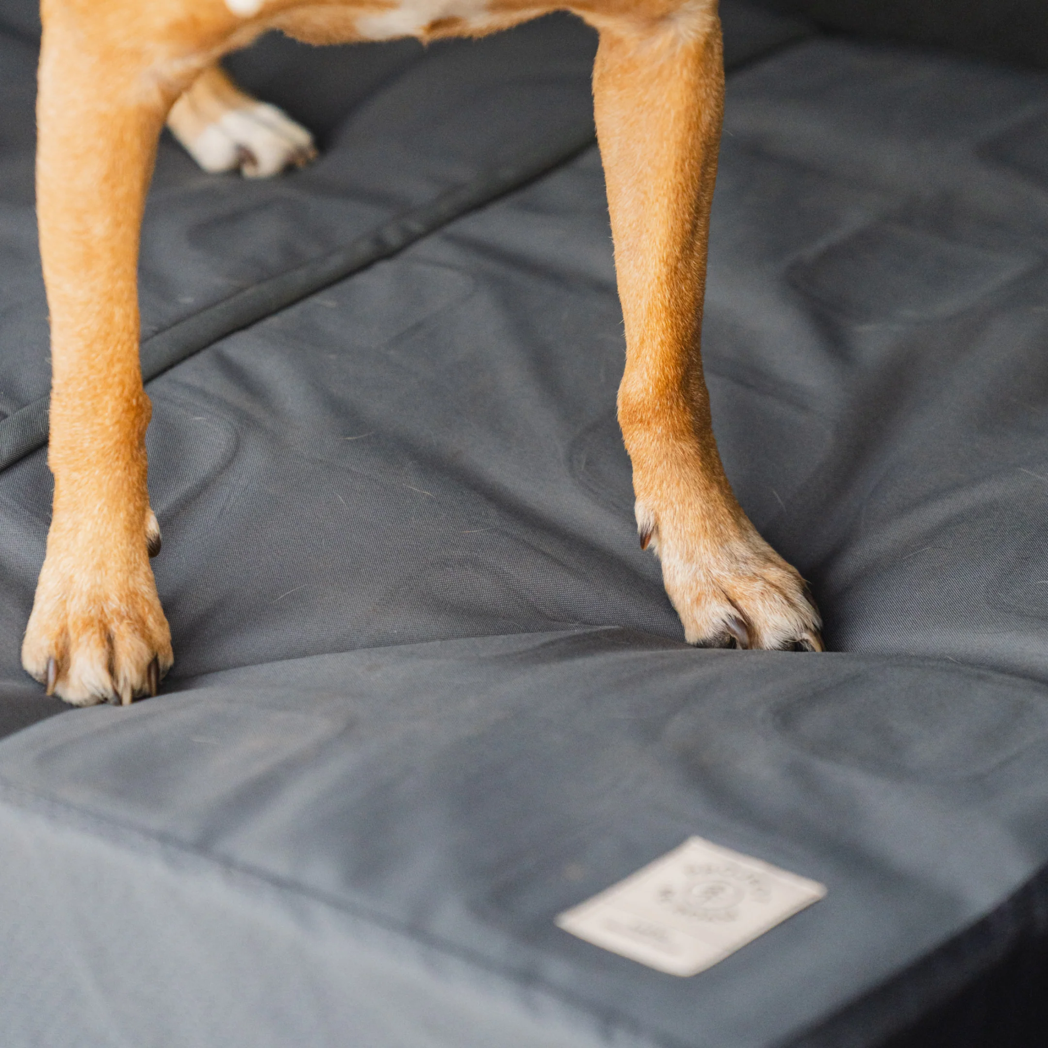 Pet Bed - Image 8